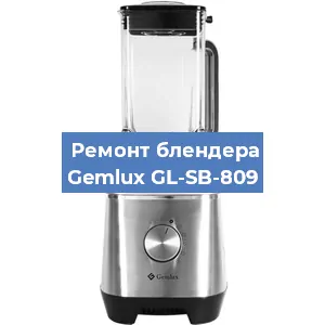 Замена щеток на блендере Gemlux GL-SB-809 в Новосибирске